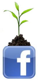 Grow Your Facebook Business Page